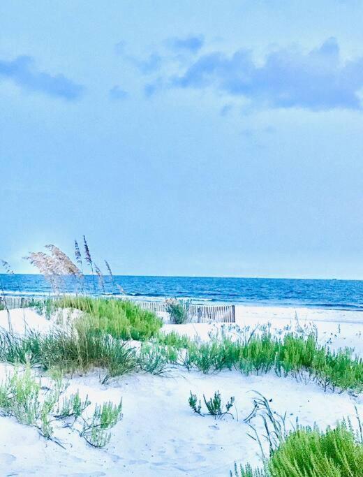 Pet Friendly Tranquil Cottage With Fire-Pit And Seasonal Hot Tub Sept-March Minutes To Beaches ドーフィン・アイランド エクステリア 写真
